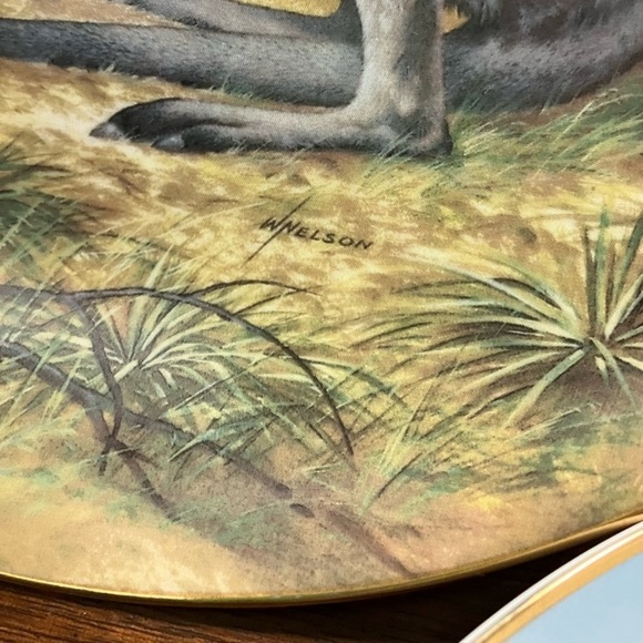 Will Nelson Decorative Plates “The Endengered Species” 1990-1993 Editions - Picture 11 of 12